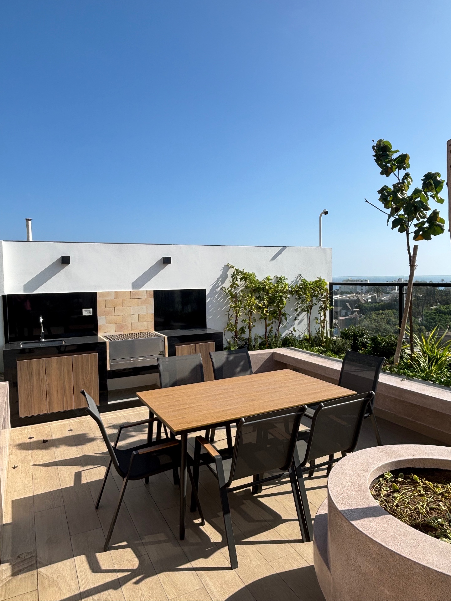 Rooftop BBQ area with dining table and city view